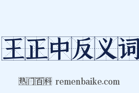 王正中反义词是什么意思的图片